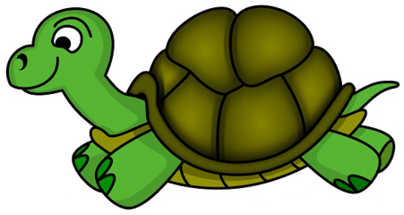 Turtle Transparent Image - Clipart Image Of Tortoise Png