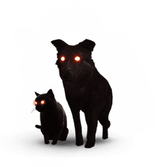 The Black Cat And Dog Witcher Wiki Fandom - Black Cat And Dog The Witcher Png
