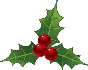 Mistle Toe Png Free - Mistletoe Clipart Png