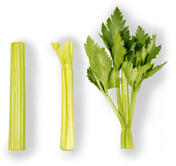 Celery Grupo Lucas - Apio Baby Png