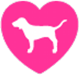 Prabal Gurung Spring - Vs Pink Dog Svg Png