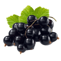 Currant Berries Black Bunch HQ Image Free - Free PNG