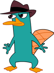 Download Hd Perry The Platypus - Perry The Platypus Memes Png