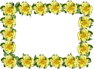 Yellow Flower Frame Png 2 Image - Yellow Flower Border Transparent