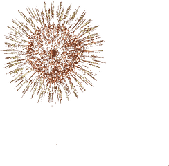 57 Fireworks Gifs - Gif Abyss Fireworks Transparent Background Gif Png