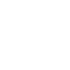 Organic Vegan Bar - Organic Protein Bar Gluten Free Protein International Day 2021 Logo White Png