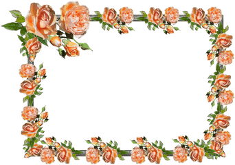 Frame Border Rose Floral Decoration - Flower Border Rose Floral Decorative Borders And Frames Png