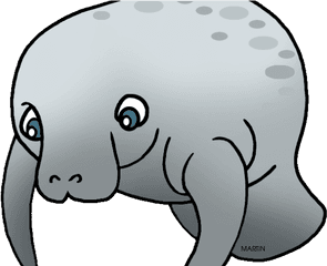 Clipart Transparent Manatee Gif - Manatee Clipart Png