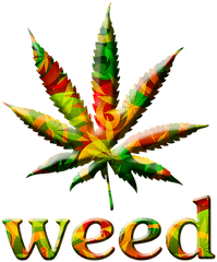 Cannabis Social Club - Csczotumnet Weed Leaf Black Png