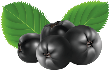 Blue Berry Png - Aronia Berries Clip Art