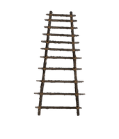 Ladder Free PNG HQ