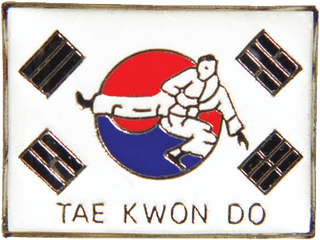 Korean Flag Taekwondo Pin - Korean Flag Taekwondo Png