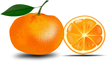 Orange Png Image Download