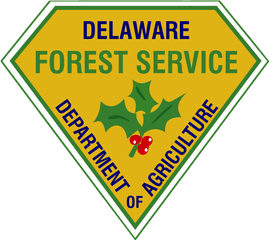 Delaware Forest Service Seeks New - Delaware Forest Service Png