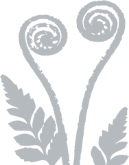 Fern - Silver Fern Png