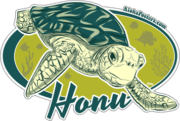 X 3 - Ridley Sea Turtle Png