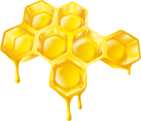 Download Soloveika - Cartoon Honeycomb Honeycomb With Honey Dripping Drawing Png