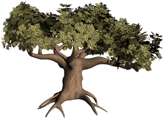 Rv - You A Leaf Branch Or Root Png