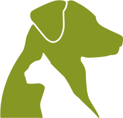 Download Hd Dog And Cat Icon Png - Face Dog And Cat Icon Png