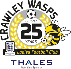 Cw - 25logo Sgss Design Samsung Thales Png