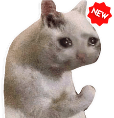 New Funny Cat Memes Stickers - Memes Funny Love Memes Png