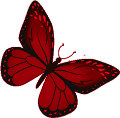 Butterfly Red Gif - Butterfly Red Monarch Discover U0026 Share Red Butterfly Gif Png