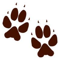 Footprint Animal Free Download Image - Free PNG