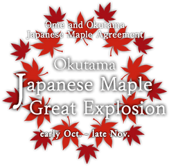 The Agreement Between Ome And Okutama Japanese Maple - Graphic Design Png