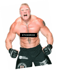 Download Brock Lesnar Wwe Png Image - Brock Lesnar Png