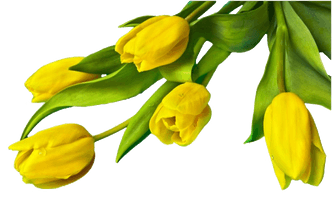 Flower Easter Free Transparent Image HD - Free PNG