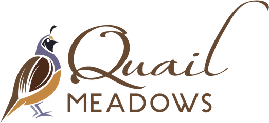 Quail Meadows - Calligraphy Png