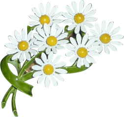 Daisy Bouquet Free Png Image - Daisy Flower Bouquet Clipart