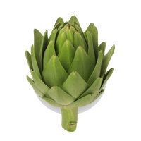 Artichokes Picture - Free PNG