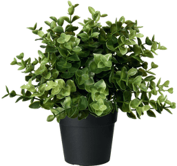 Artificial Potted Plant Oregano - Transparent Background Plant Pots Png Hd