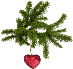 Download Free Christmas Png Image Icon Favicon Freepngimg - Christmas Heart Transparent Background