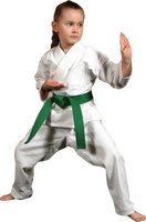 Karate Picture - Free PNG