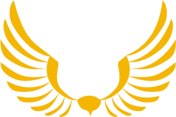Birds Of Prey In Devon U2013 Westcountry Falconry - Flying Bird Logo Png