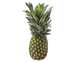 Pineapple Green - Free PNG