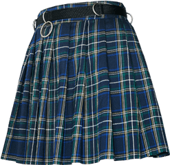 Polyvore - Skirt Png