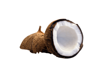 Half Cut Coconut Png Image - Coconut Milk