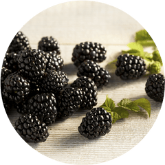 Our Berries The Fresh Berry Company - Boysenberry Png
