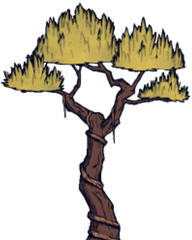 Jungle Tree - Don T Starve Jungle Tree Png