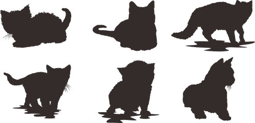Animal - Domestic Cat Png