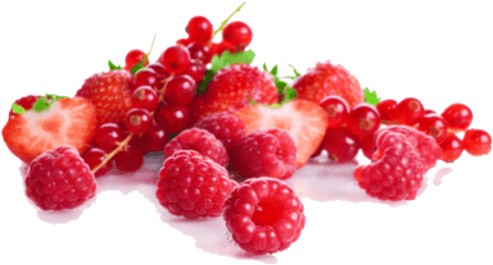 Png Images Transparent - Red Berries Transparent