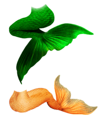 Mermaid Tails Ii By Jinxmim - Mermaid Tail Png