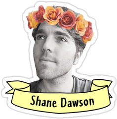 Shane Dawson Shanedawson Freetoedit - Shane Dawson Clipart Png