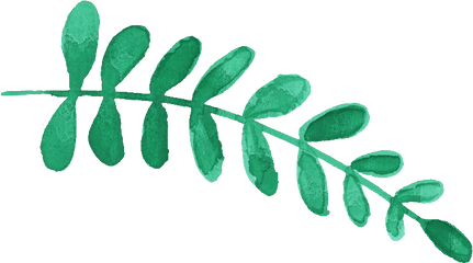 14 Watercolor Leaf Png Transparent Vol 5 Onlygfxcom - Leaf Watercolor Png