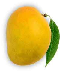 100 Authentic Devgad Alphonso Mangoes - Devgad Mango Mango Png