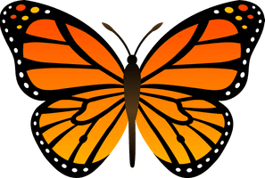 Orange Butterfly Png Image Butterflies Download