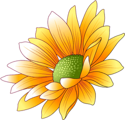 Sunflowers Transparent Image - Clip Art Png